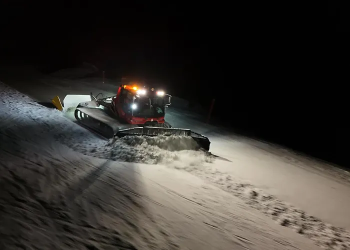 Zinkenblick 木屋 *